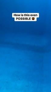 How! #reels | Lifehack Reels