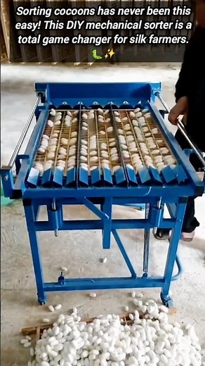 ​Watch This Amazing Homemade Tool For Fast Cocoon Sorting