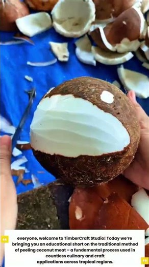 ‎How to Peel Coconut Meat - Educational Short: Specifications, Pros, Cons & Productivity Import