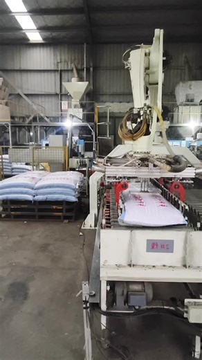 Enhancing Efficiency with Palletizing Robots