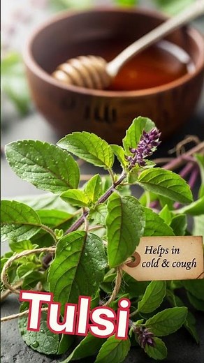 These Plants Can Heal Your Body Naturally 🌿😳