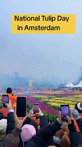 National Tulip Day will look like this on next week in Amsterdam. #nationaltulipday #tulipseason #tulips #amsterdam #tulipfestival | Adriana Franken