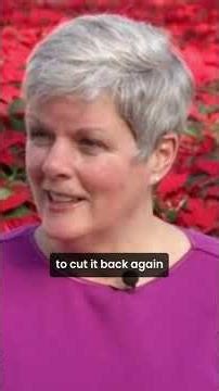 Year-Round Poinsettia Care