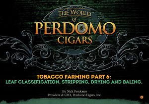 Tobacco Farming Part 6: Leaf Classification, Stripping, Drying and Baling