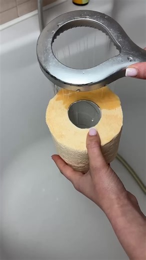 Keep Your Toilet Fresh for 10 Days with This Simple Trick