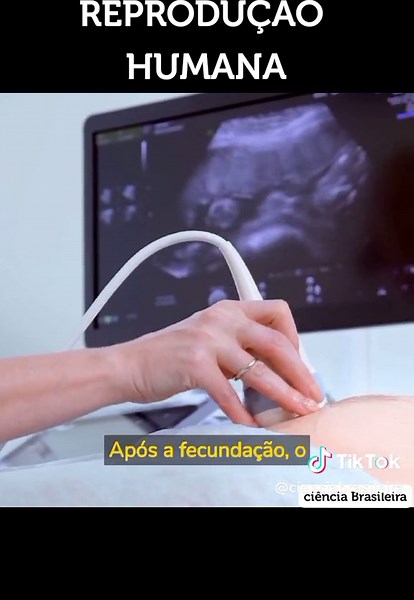 Entenda como funciona a reprodução humana