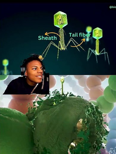 IShowSpeed So Cute Bacteriophage Edit