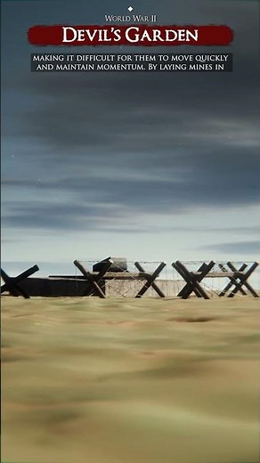 Rommel's Devil Gardens #shorts #fypシ゚ #fyp #rommel #ww2 #italy #military #tactical #desertfox #war