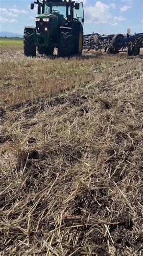 Summer Farming Adventures in Austria