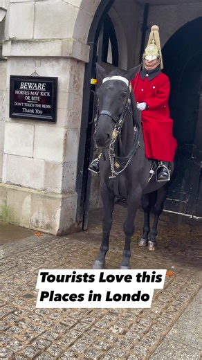 1.9K views · 176 reactions | Tourist Bliss at Horse Guard Parade! ✨...
