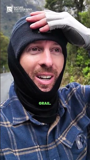 New Zealand: Sandfly Sabotage!?