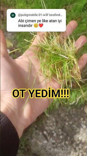 Ot yedim! #keşfet #ytdayibenionecikarnolur #keşfetedüş #keşfetaçıl