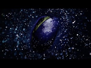 pub Mugler Angel Stellar - the Gourmand Ingredients