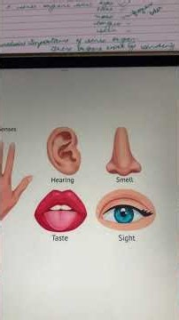 What are sense organs #Senseorgans #EVS #Shorts #eyes #nose #Tongue #ear #skin #itsfunction