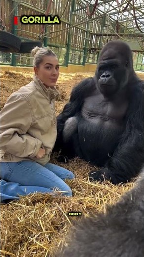 You Can’t Survive These Animals 😨 #shorts