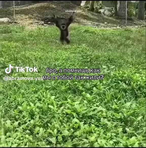 Помнишь, как мы жили, брат?