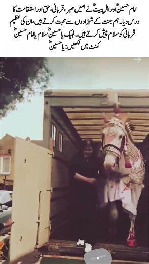 Imam Hussain (RA) Taught Us Patience, Sacrifice & Truth | Labbaik Ya Hussain#shorts#shortsfeed#viral