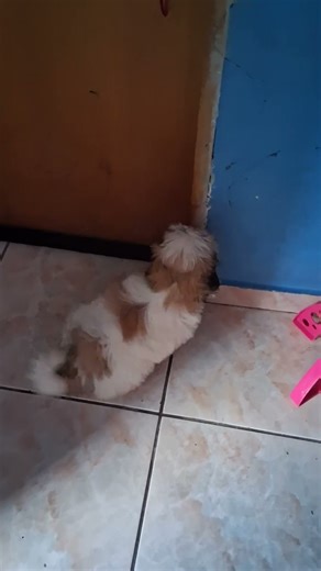 29 de dezembro de 2025