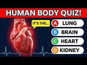 Can You Pass This Human Body Trivia Quiz? - Test Yourself Now 🧠