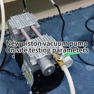 DAP-12S Diaphragm Pump