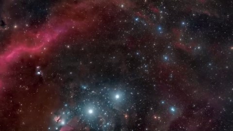 NASA Chief's Terrifying Betelgeuse Announcement Could Change Everything About Our Universe