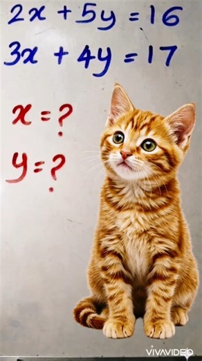 Can you solve this faster than my kitten can nap? 🐱💤