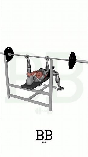 BB Reverse Grip Bench Press (CHEST & TRICEPS): Ultimate Upper Chest Builder! 💪