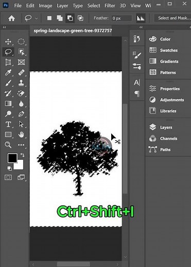 How to Remove Background Using Channels in Photoshop | Professional Cutout Technique