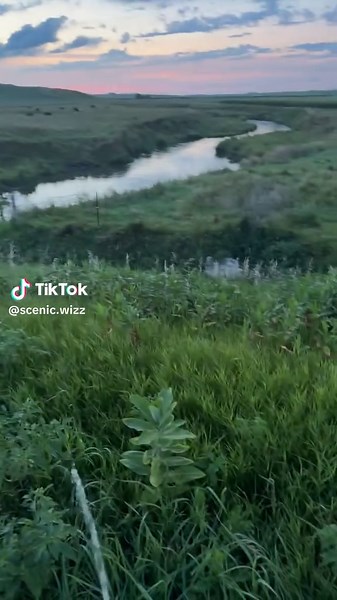 scenic wizzes on TikTok