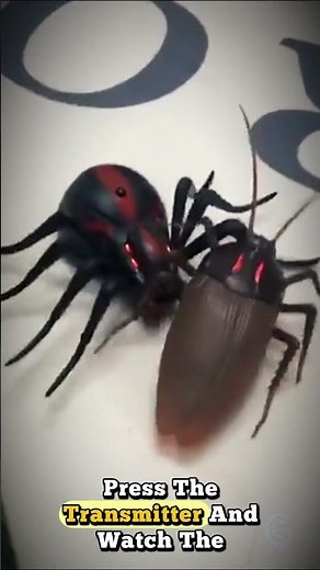 Trick RC Cockroach Spider Ant Toy
