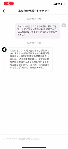 TikTokアイコン表示問題の解決法