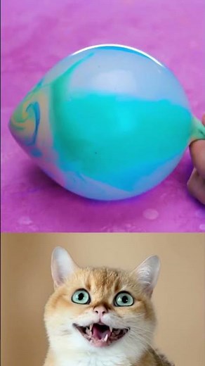 DIY stress ball.. until it explodes 😭