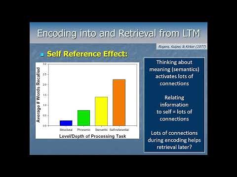 Cognitive Psychology - Long Term Memory Pt2 - Encoding and Retrieval