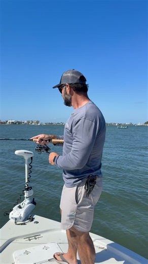 For a limited time, buy a @tsunamitackle Shield II Reel and get a Pro Aluminum 6.5” HD Plier FREE with purchase. Available in store and online! Link in bio to find a dealer near you #tsunamitackle #fishing #shieldii | Tsunami Tackle