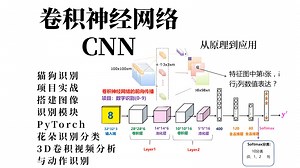 【2025最新卷积神经网络实战教程】CNN全系列，一口气学完从0开始搭建CNN图像识别模块算法原理+改进系列+源码解读+数据集训练等计算机视觉必备基础与实战！