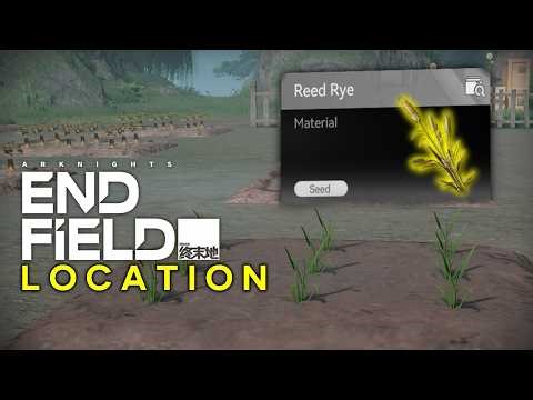 Reed Rye Locations - How to unlock Hub Emergency Ration/Valley Pie Recipe in Arknights:Endfield