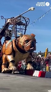 82K views · 1.6K reactions | Quand deux chiens géants gambadent dans les rues de Nantes. Moments magiques résumés ici avec quelques images de Xolo et Bull Machin. Merci Royal de Luxe pour ces instants de bonheur ❤️ | Ouest-France Nantes | Facebook