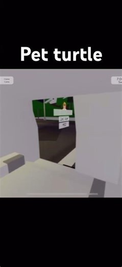 Episode Pet turtle The amazing Sultan roblox Cartoon Network animation