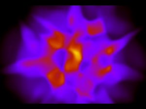 D. T. Son - Hydrodynamics and quantum anomalies