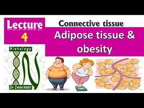 Adipose tissue and obesity