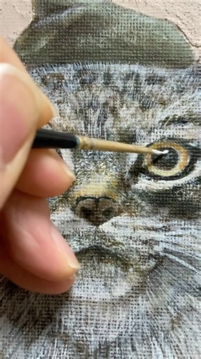 Pallas's cat & shell #マヌルネコ #絵 #art #animalart