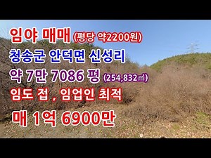 임야매매 청송군 현황도로 접한 임업인용 중대형 임야매매