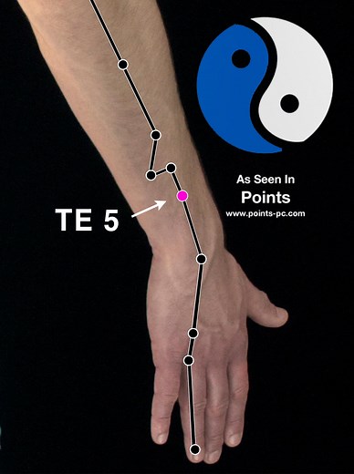 Acupuncture Point: Triple Energizer 5 (TE 5) - Acupuncture Technology News