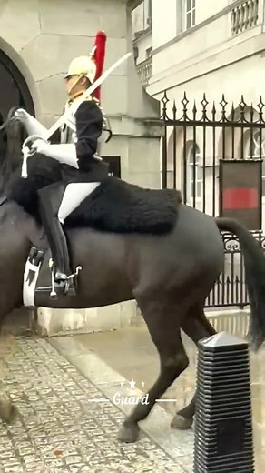 1M views · 5.5K reactions | Guard smashes the panic button for help  #guard #tourist #horses #london #londonlife #reelsviral #reelsvideo #reelsfb #reelitfeelit #reelsinstagram #reels2023 #reelit #reelsfypシ #reelsusa #reelstrending #reels #fypシ゚viral #fyp #foryou #trendingreels #trendingnow #trend #trendingpost #amazingvideo #AmaZing #amazingview #amazig #usareels #usa #funnyreelsa | Guard | Facebook