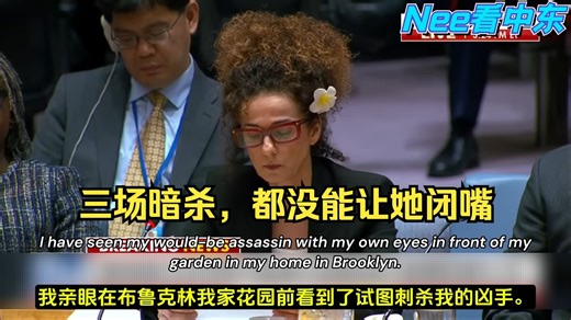 “他们三次想要我的命”：这个被德黑兰列入暗杀名单的女人，在联合国安理会泣血控诉