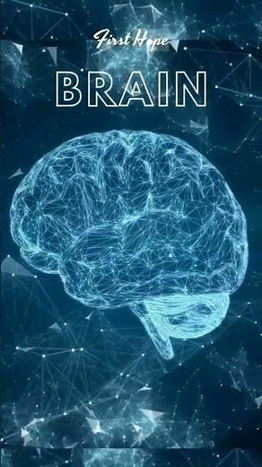 Anatomy of brain.function of brain. part of the brain #brainstructure #brainscan #brainexplorer