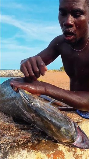 Cleaning BIG DOLPHIN Fish Just Got Easier!