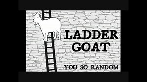 【LADDER GOAT】 ヤギが梯子を登って笑いが止まらない