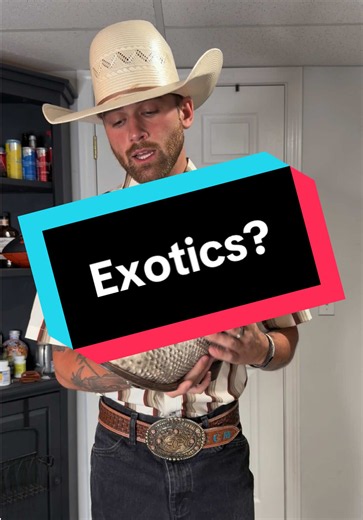 Best First Exotic Boots: Python vs. Ostrich