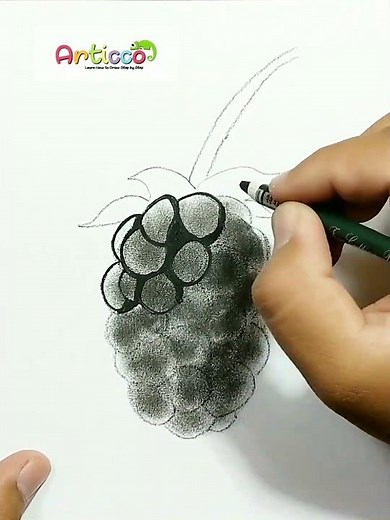 DRAWING REALISTIC BLACKBERRY